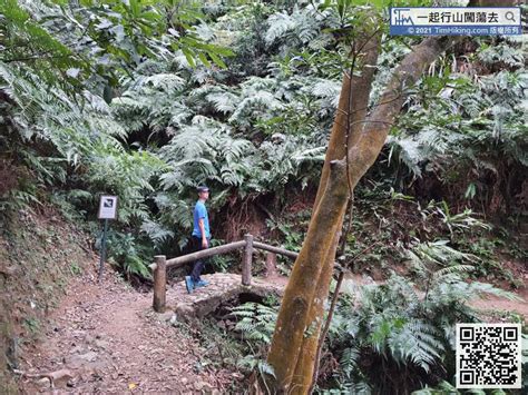 轆牛嶺|【一起行山闖蕩去】 轆牛嶺．大嶺峒．雷公田